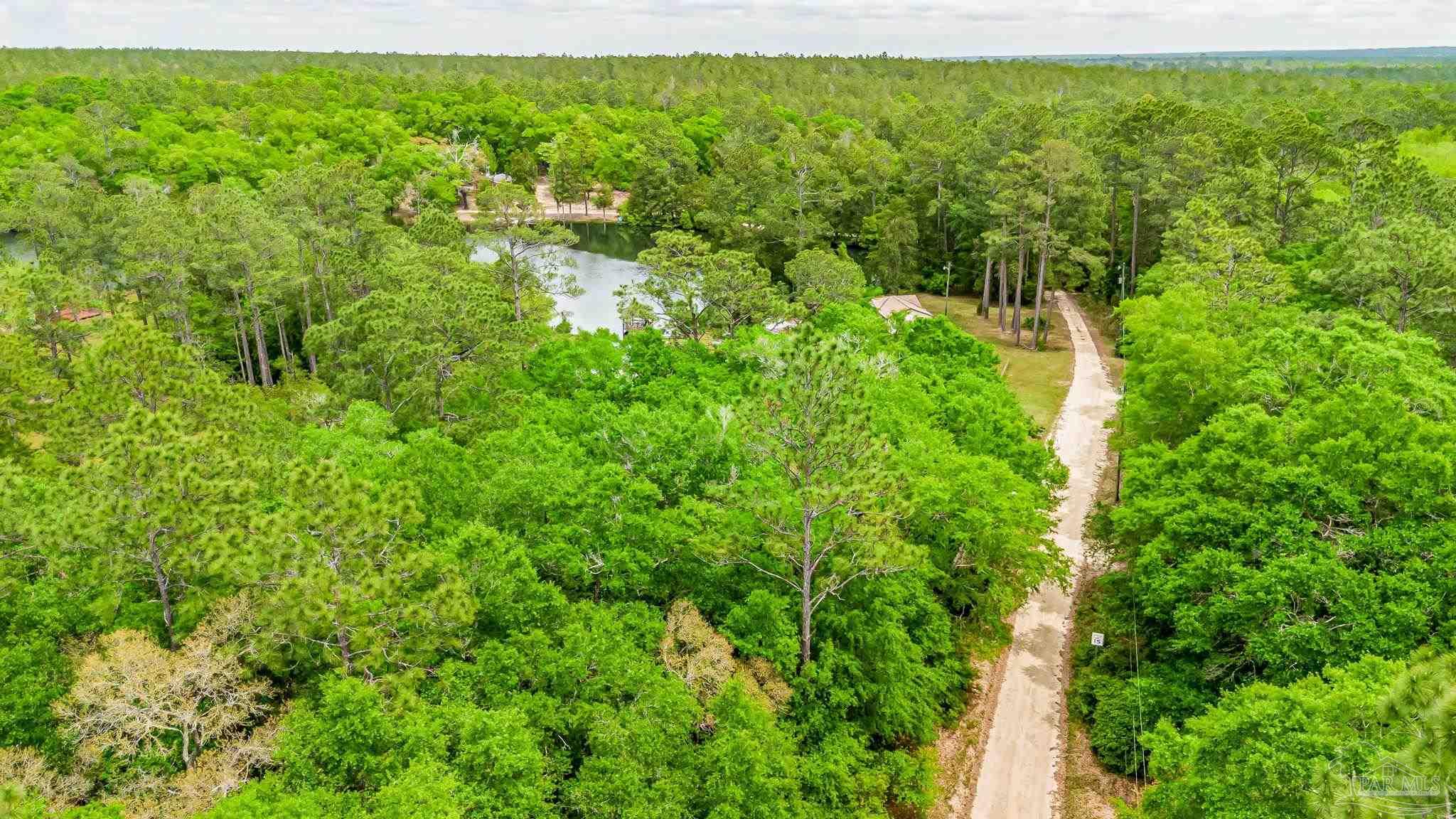 0 Bobcat Trail Milton, FL 32583 - Photo 5 of 34