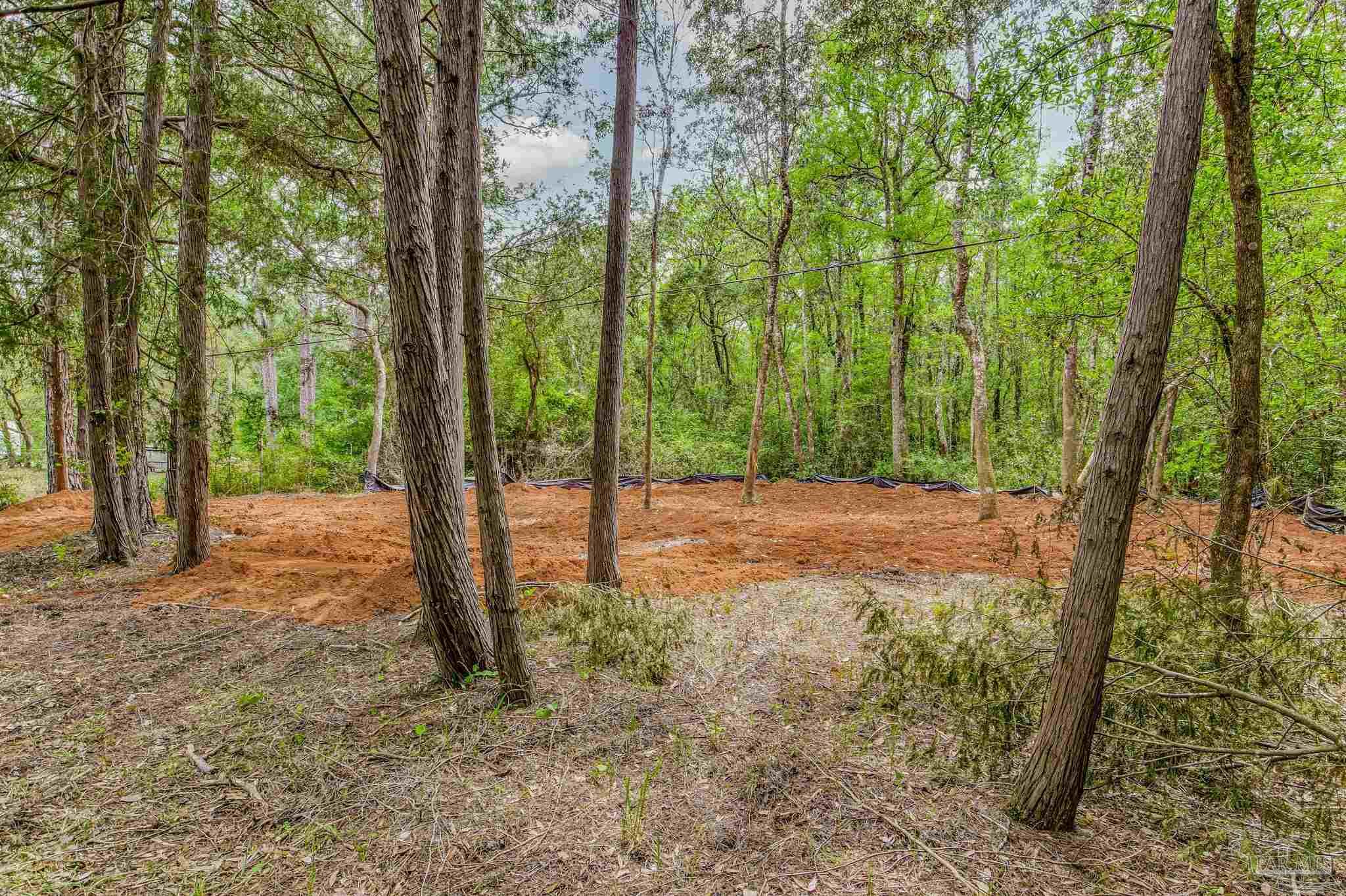 0 Bobcat Trail Milton, FL 32583 - Photo 9 of 34