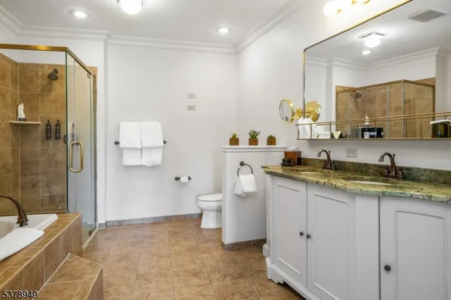 a bathroom with a granite countertop sink a toilet and shower