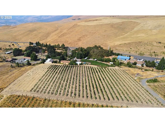 a view of city and ocean