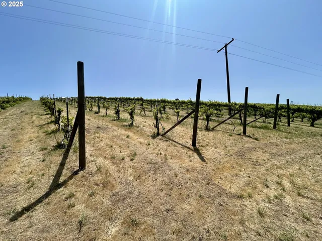 a view of an ocean beach