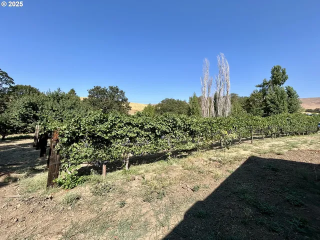a childrens park with lots of swings and slides