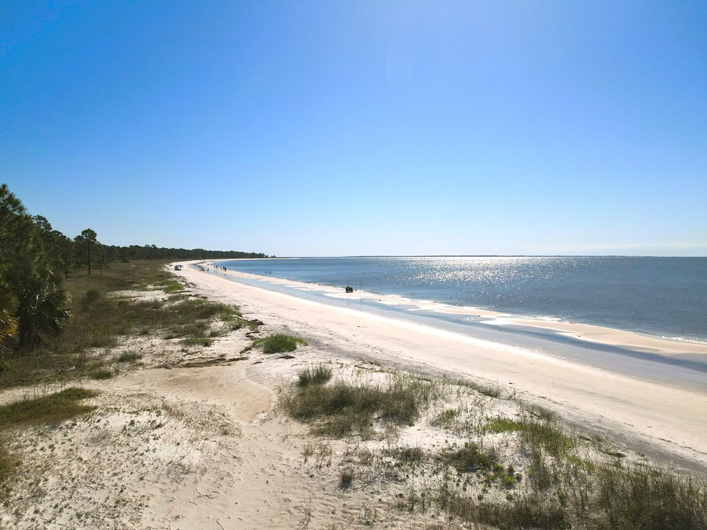 723 3 Rivers Road Carrabelle, FL 32322 - Photo 7 of 13