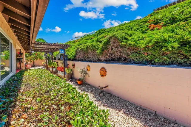 a view of a bunch of plants and trees in a yard