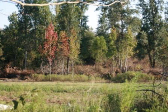 0 Sheppard Road Dothan, AL 36301 - Photo 1 of 1