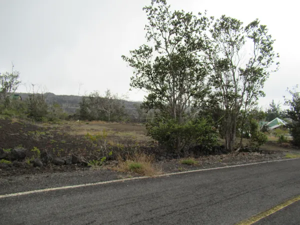 a view of a rural road with plants