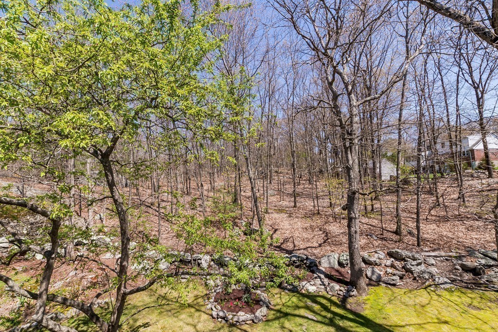 95 Anderer Lane, Unit 4 Boston, MA 02132 - Photo 17 of 22 a backyard of a house with lots of green space