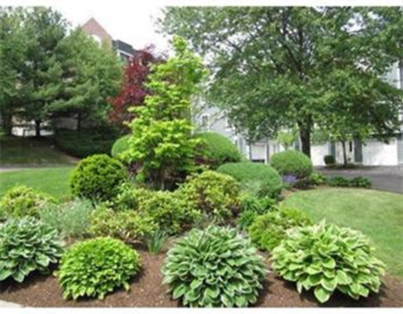 95 Anderer Lane, Unit 4 Boston, MA 02132 - Photo 20 of 22 a view of a garden with a tree