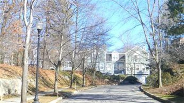 95 Anderer Lane, Unit 4 Boston, MA 02132 - Photo 21 of 22 a view of a city with tree s