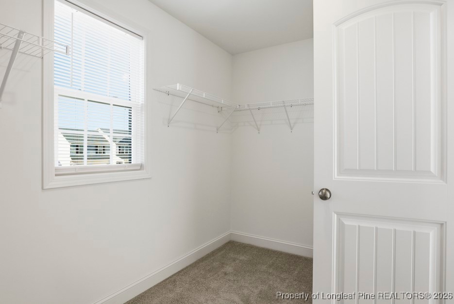 4830 Quiet Pine Road Fayetteville, NC 28314 - Photo 34 of 50