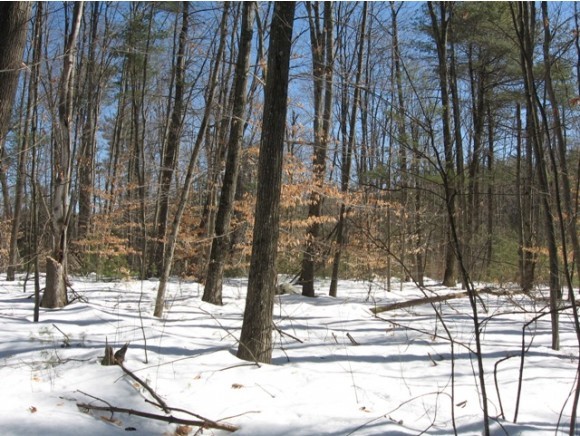 0 Tyler Hill Road Jaffrey, NH 03452 - Photo 2 of 5 Gallery Image 2