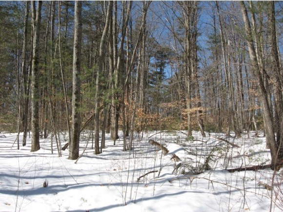 0 Tyler Hill Road Jaffrey, NH 03452 - Photo 3 of 5 Gallery Image 3