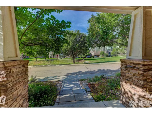 a view of a yard with plants and a fountain