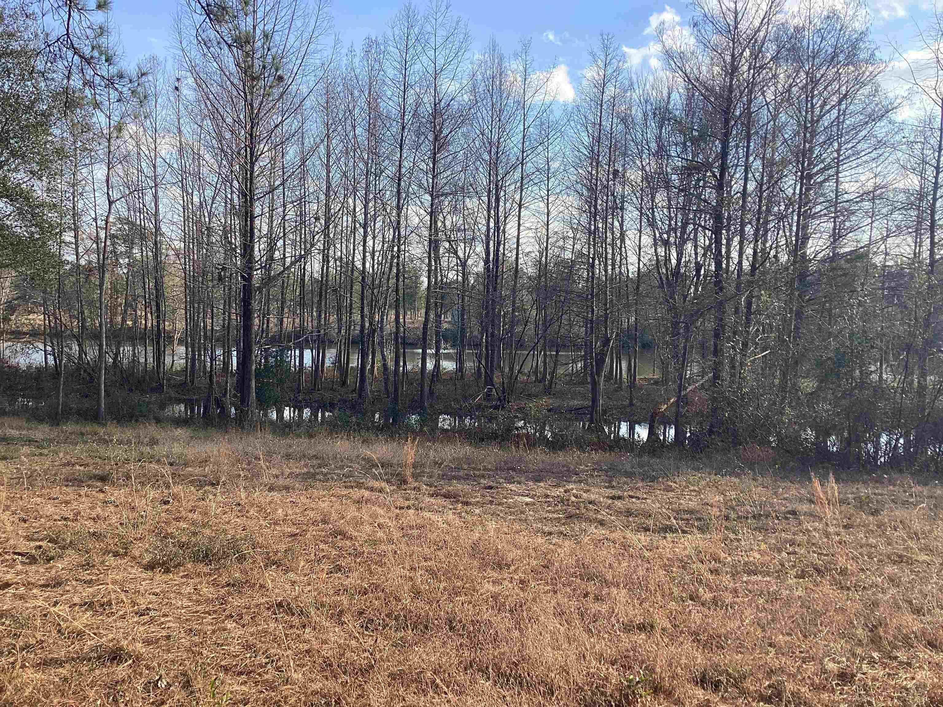 30 Harbor Road Andalusia, AL 36421 - Photo 5 of 20 Gallery Image 5