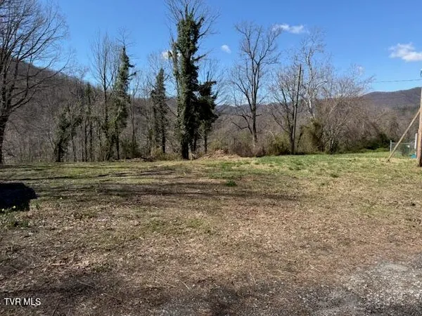 $35,000 | 133 Haines Road, Unit 8, Erwin, TN 37650