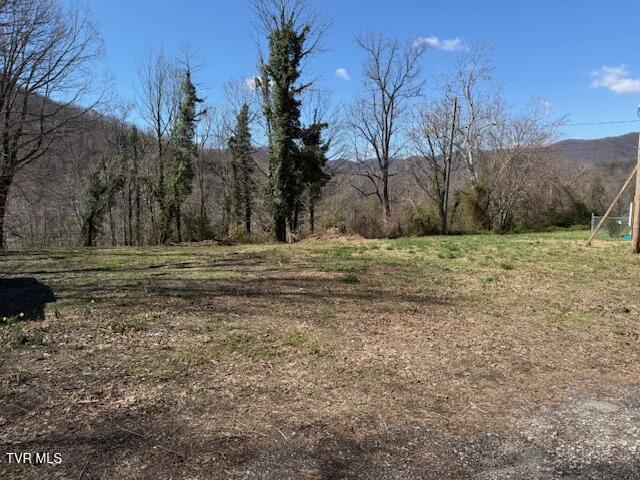 133 Haines Road, Unit 8 Erwin, TN 37650 - Photo 1 of 7 IMG_0939
