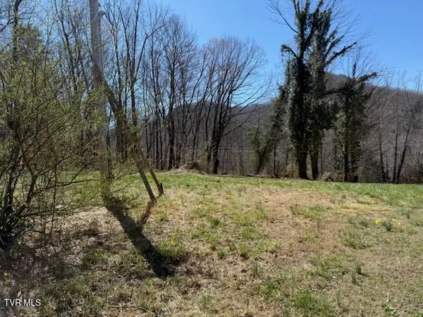 $35,000 | 133 Haines Road, Unit 8, Erwin, TN 37650
