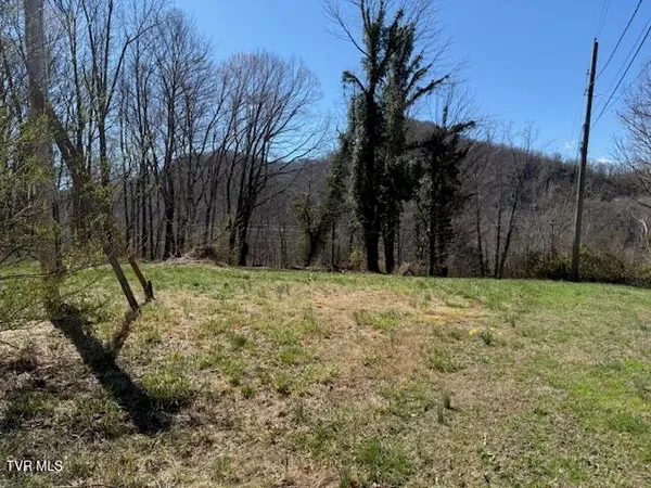 $35,000 | 133 Haines Road, Unit 8, Erwin, TN 37650