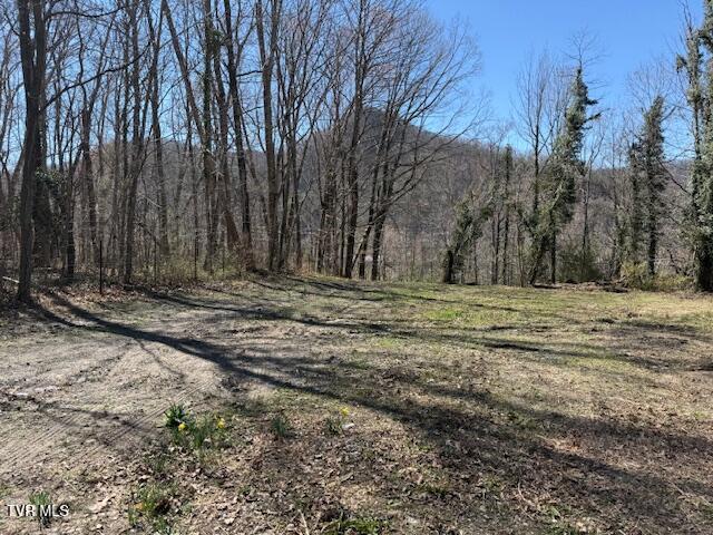 133 Haines Road, Unit 8 Erwin, TN 37650 - Photo 6 of 7 IMG_0945