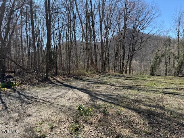 133 Haines Road, Unit 8 Erwin, TN 37650 - Photo 7 of 7 IMG_0946