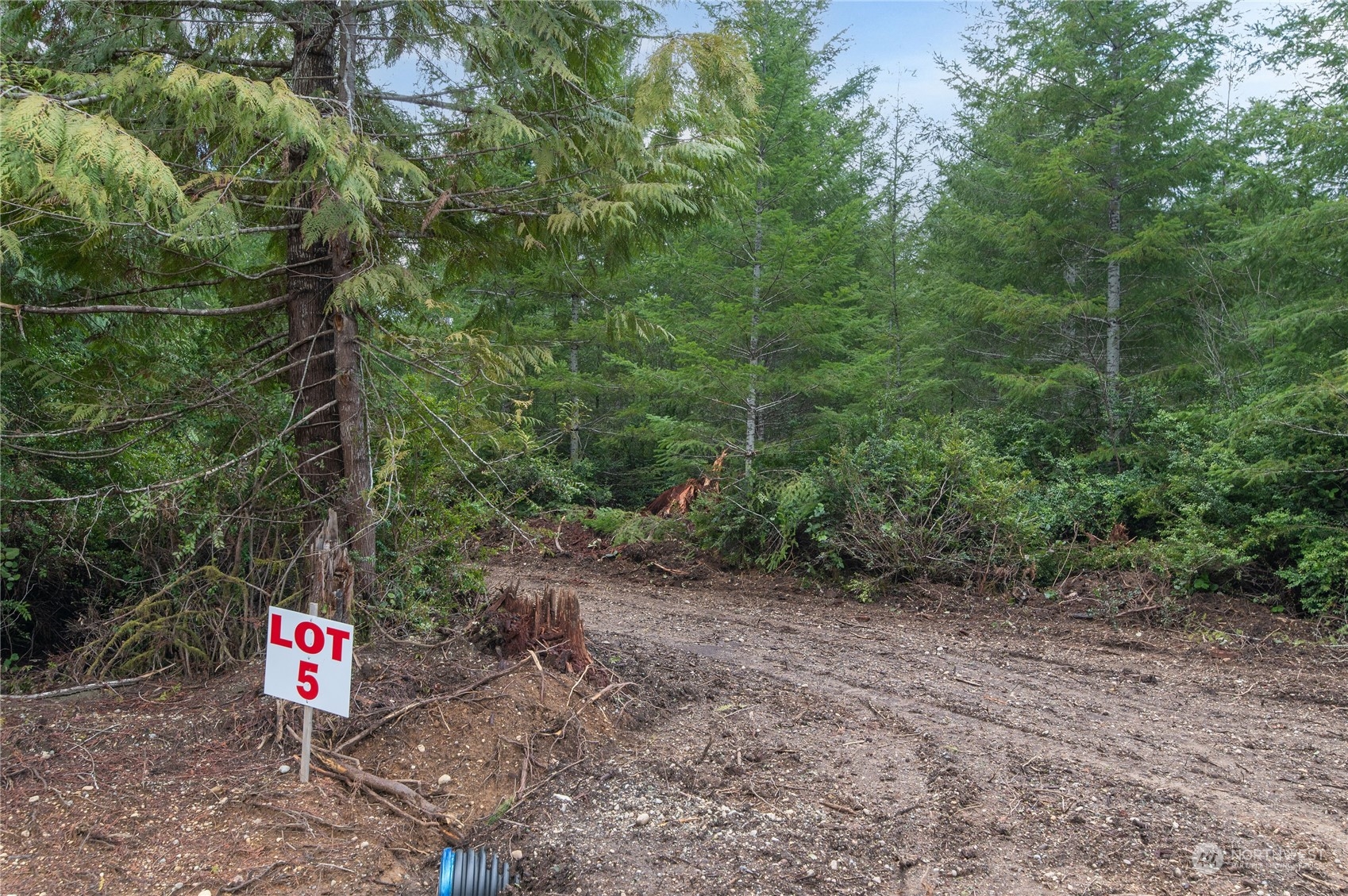 4 Adonai Way Grapeview, WA 98546 - Photo 5 of 28