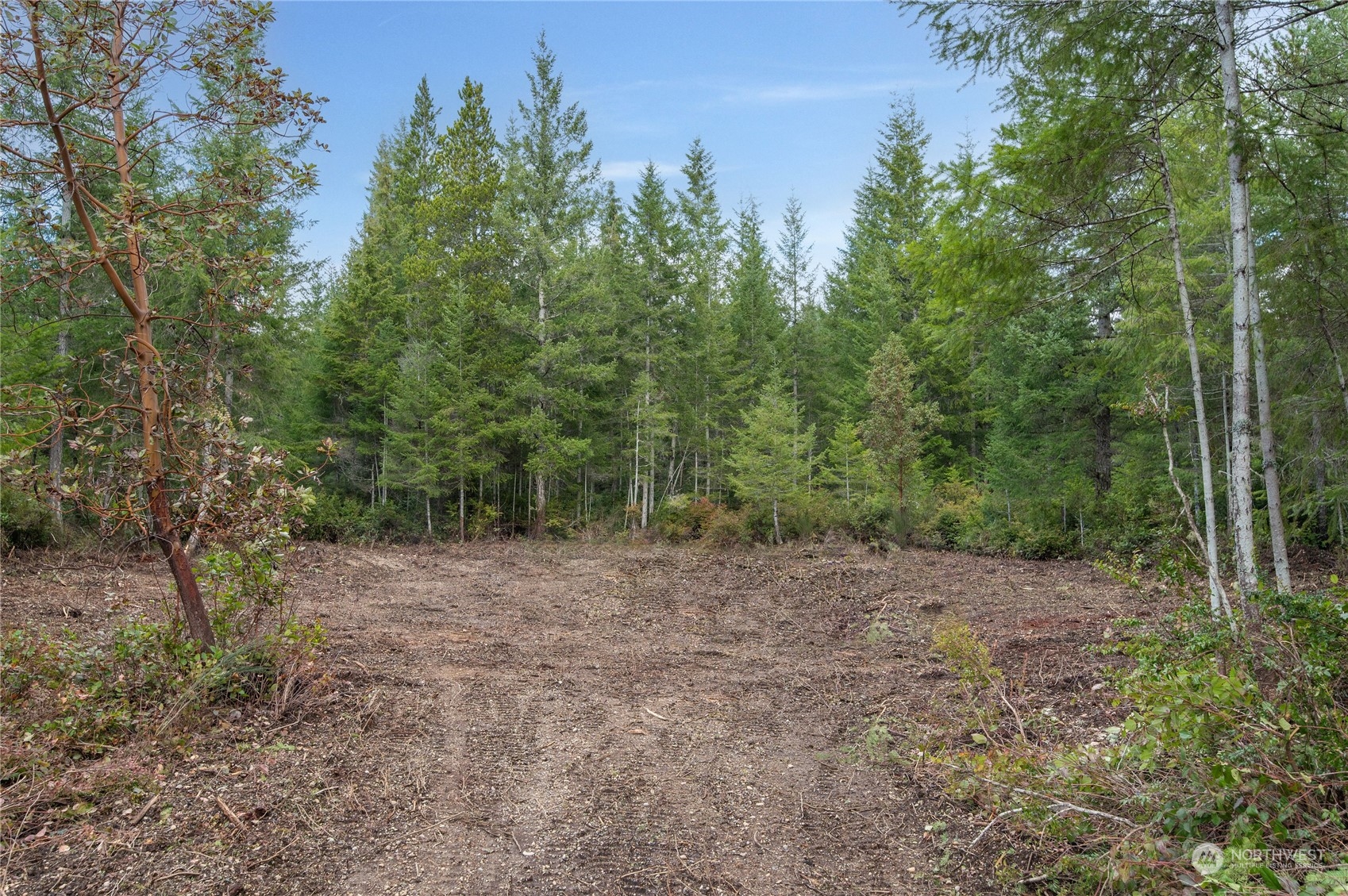 4 Adonai Way Grapeview, WA 98546 - Photo 6 of 28