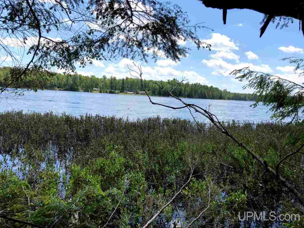 Tbd Off Round Lake Road Wetmore, MI 49895 - Photo 3 of 3 Gallery Image 3