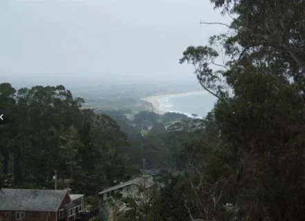 a view of a small yard