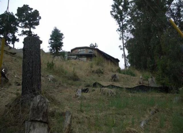a view of a yard with a tree
