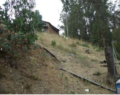 a view of a pathway in a yard