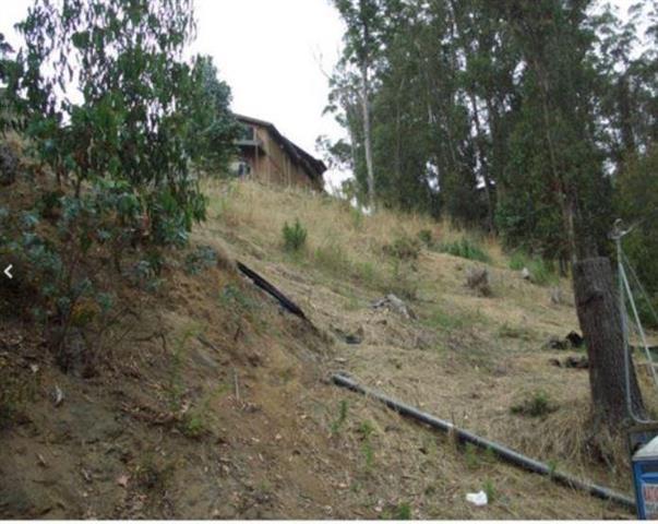 Next2-170 Next2-170 San Pedro Half Moon Bay, CA 94019 - Photo 7 of 10 a view of a yard with a tree