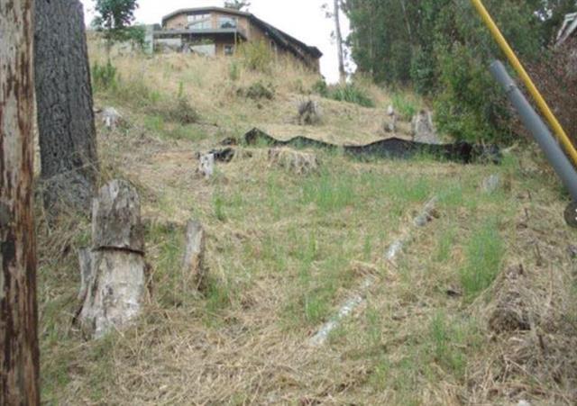 Next2-170 Next2-170 San Pedro Half Moon Bay, CA 94019 - Photo 8 of 10 a view of a pathway in a yard