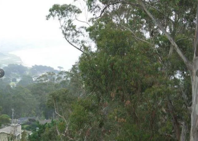 a view of wooden floor