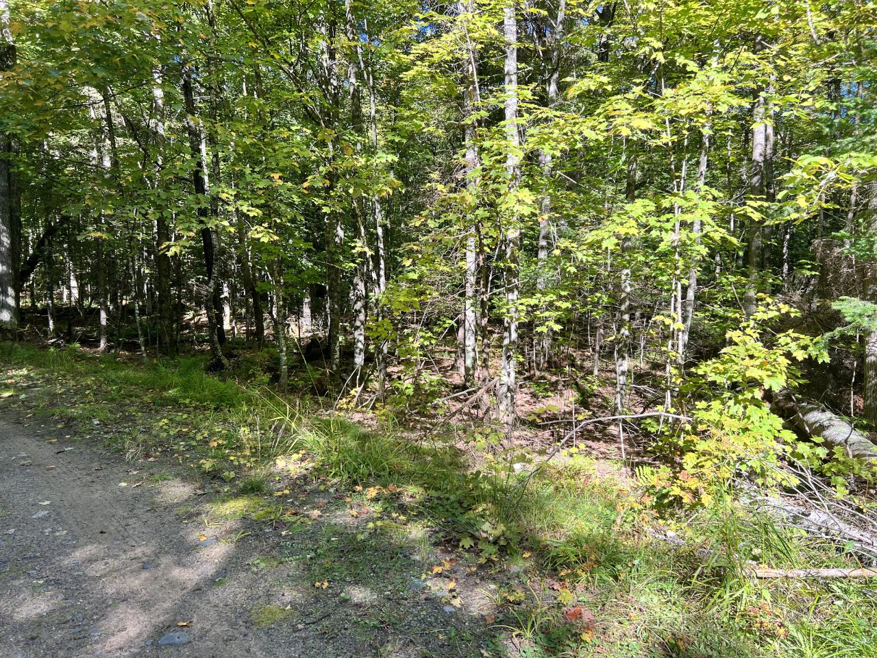 Lot 18 Ridgeview Lane Phelps, WI 54554 - Photo 5 of 9 Gallery Image 5