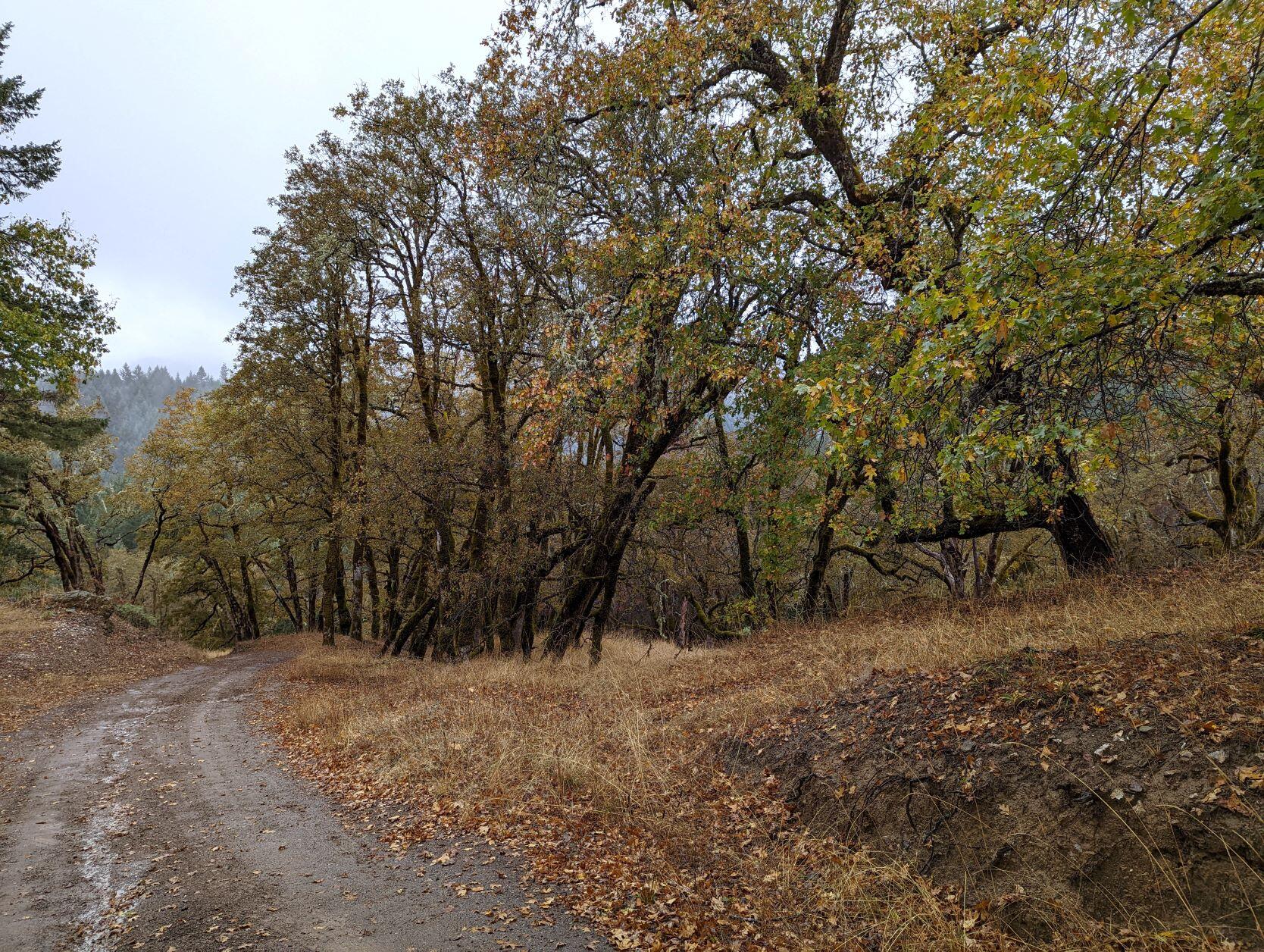 0 China Mine Road Bridgeville, CA 95526 - Photo 15 of 18
