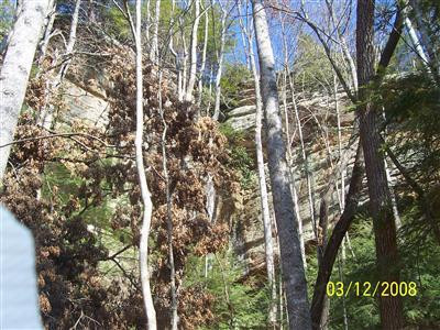 1 Trent Ridge Road Morehead, KY 40351 - Photo 4 of 15 Photo 4