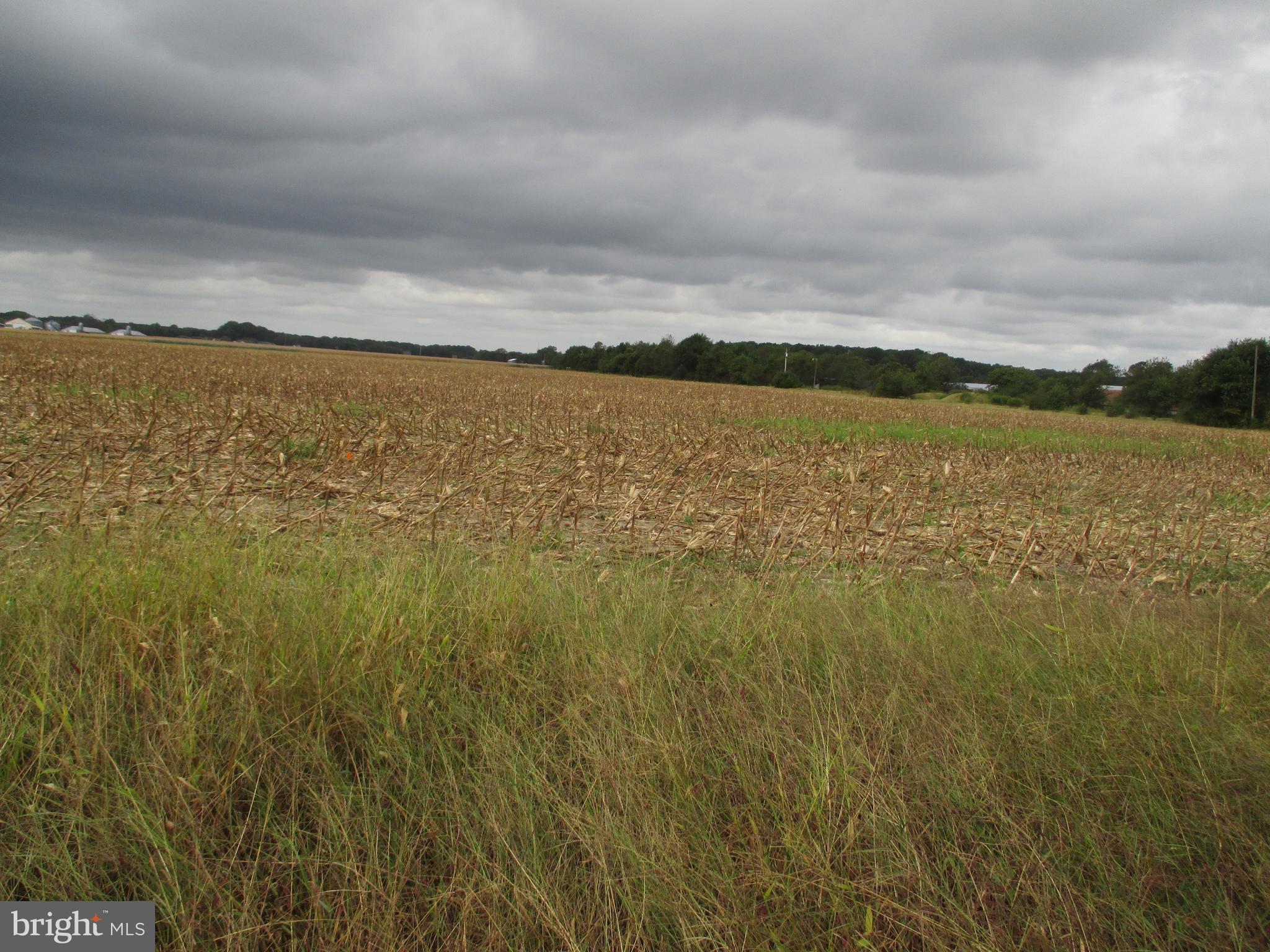Lot 6 Gray Road Dagsboro, DE 19939 - Photo 1 of 6