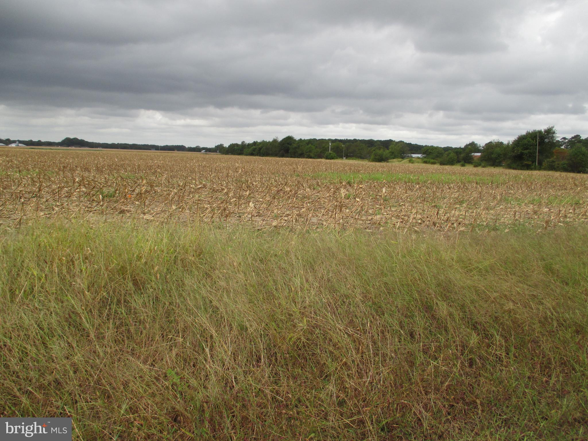Lot 6 Gray Road Dagsboro, DE 19939 - Photo 3 of 6
