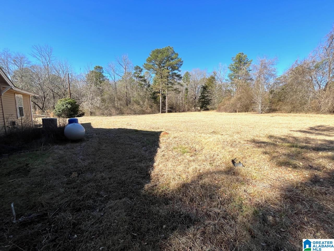 45535 Highway 17 Vernon, AL 35592 - Photo 3 of 15