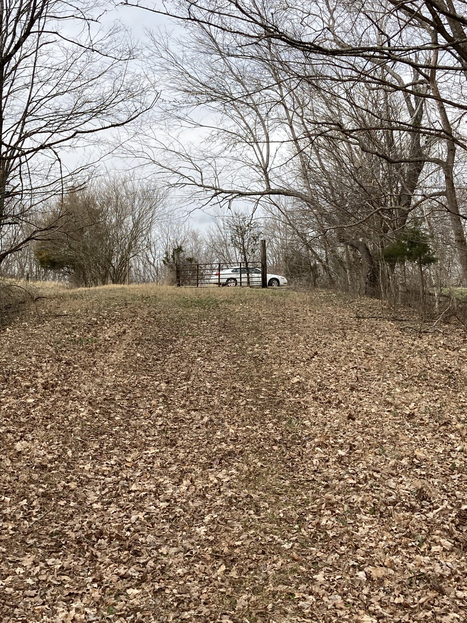 3150 Matlock Road Clarksville, TN 37043 - Photo 39 of 46 Gallery Image 39