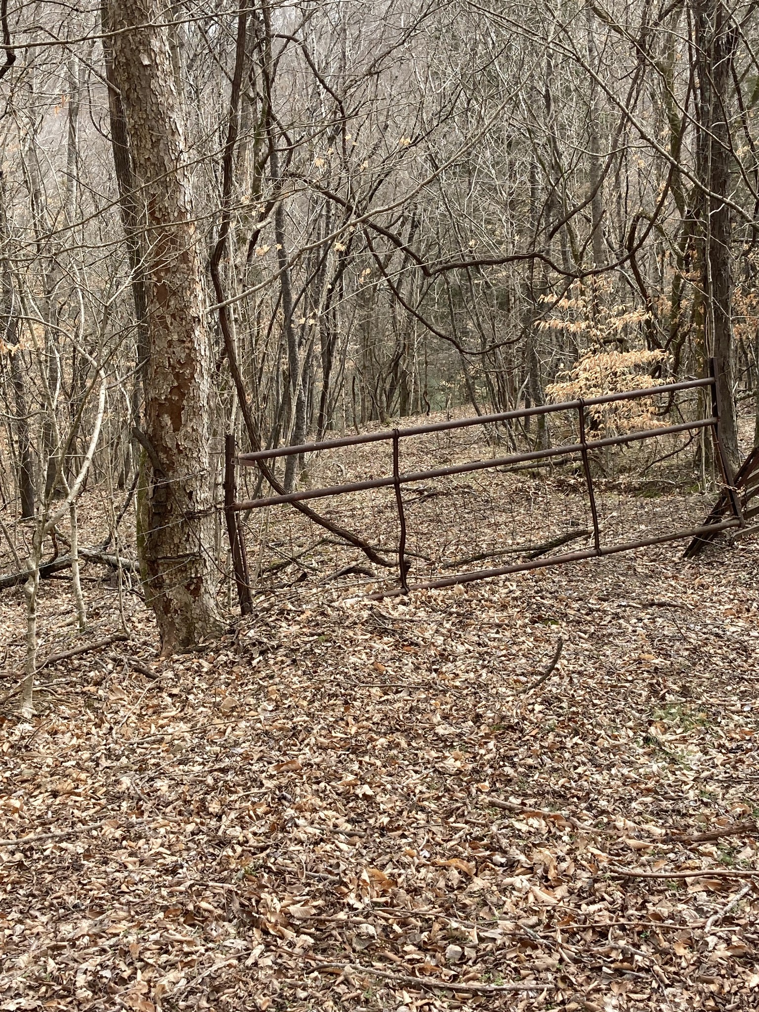 3150 Matlock Road Clarksville, TN 37043 - Photo 40 of 46 Gallery Image 40