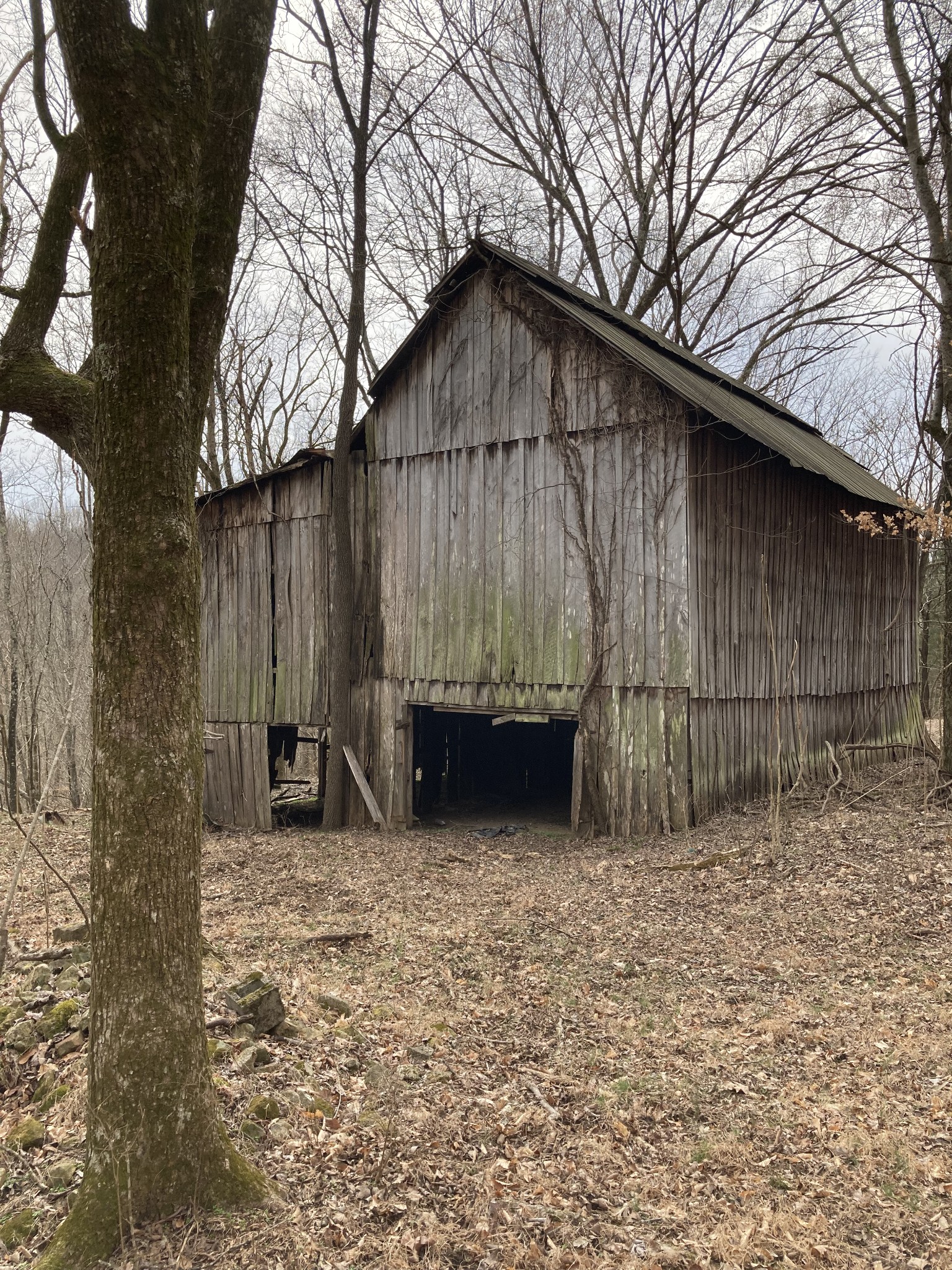 3150 Matlock Road Clarksville, TN 37043 - Photo 41 of 46 Gallery Image 41