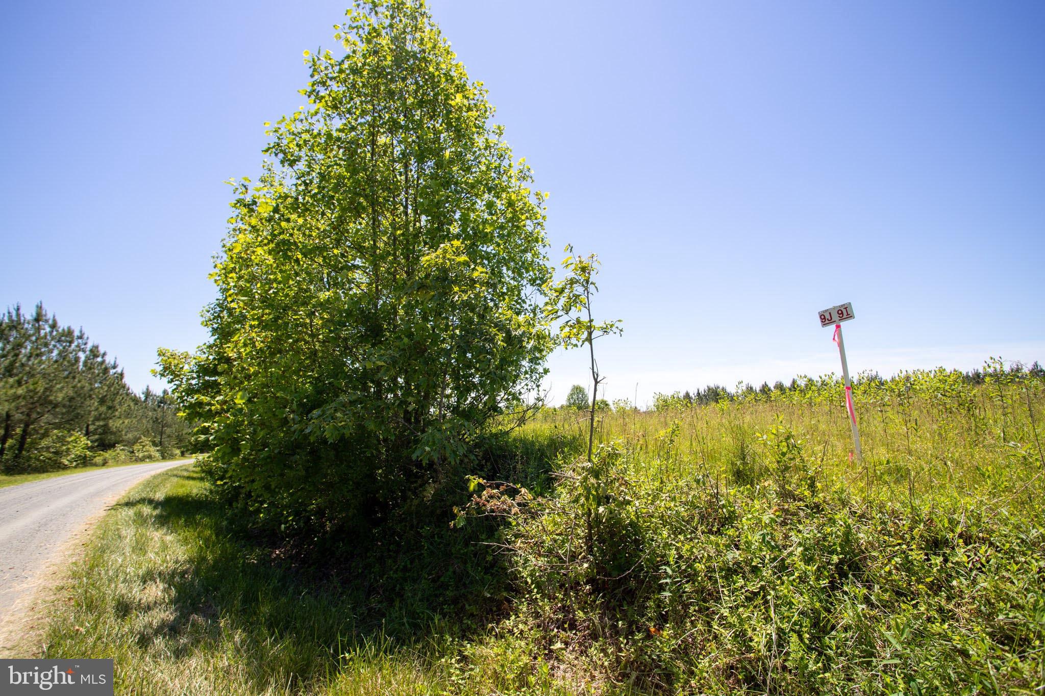 Tbd Tbd Appletree, Unit 9J Sandy Level, VA 24161 - Photo 18 of 32