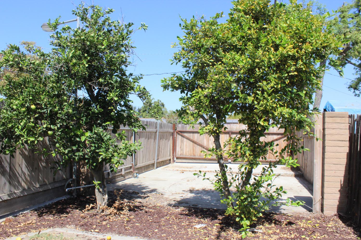 1985 Lynn Lane Hanford, CA 93230 - Photo 9 of 11 a backyard of a house with lots of green space