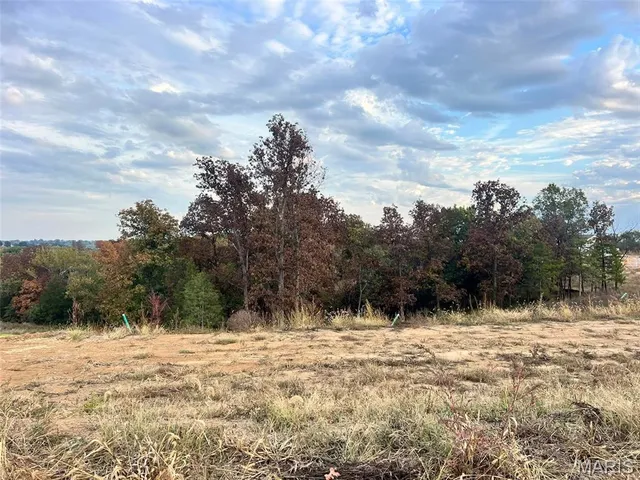 $475,000 | 114 Fiddlers Close Road, Unit 114 STB, Washington, MO 63090