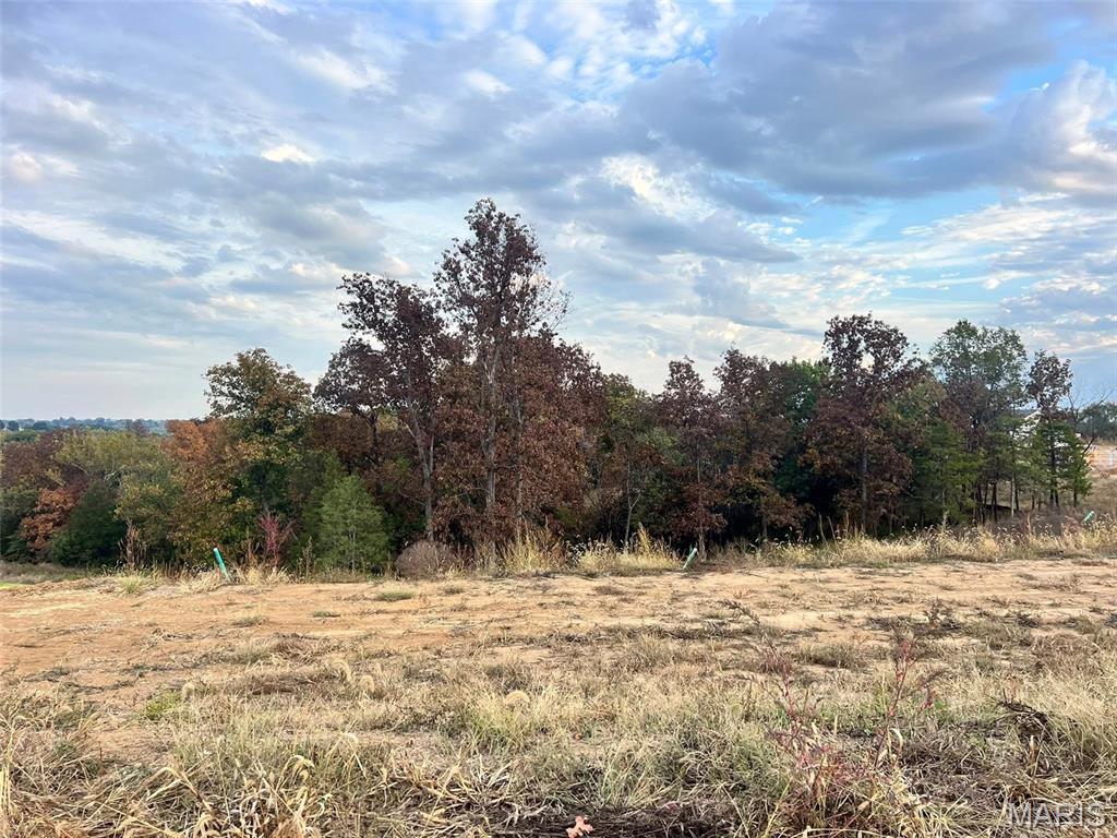 114 Fiddlers Close Road, Unit 114 STB Washington, MO 63090 - Photo 15 of 18