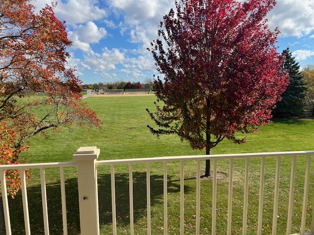 307 Glasgow Lane, Unit V2 Schaumburg, IL 60107 - Photo 15 of 15 a view of a garden
