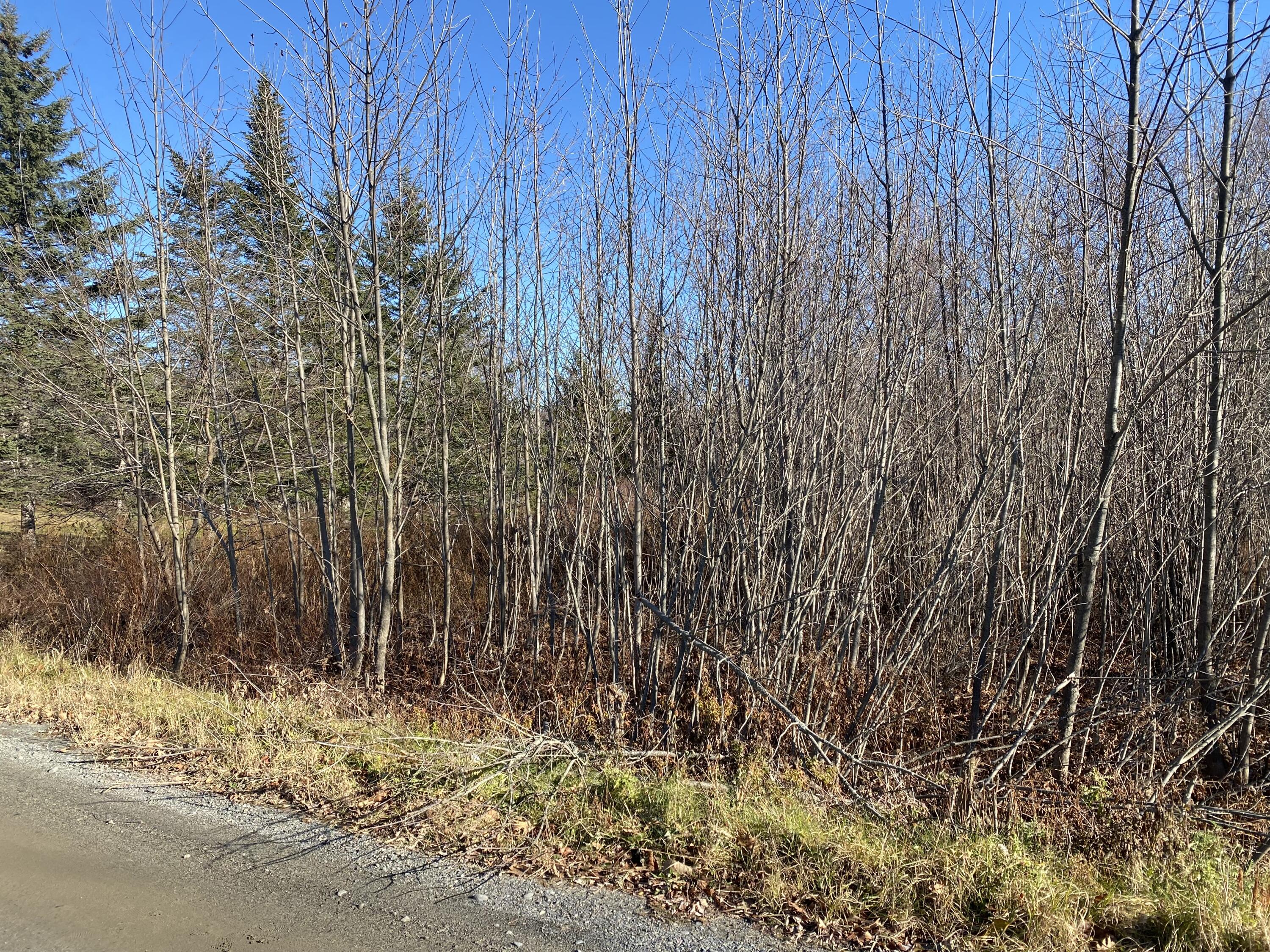 M4-l19-2&3 Turner Howe Road Milo, ME 04463 - Photo 1 of 7 IMG-9174
