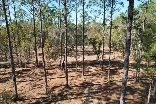 a view of outdoor space