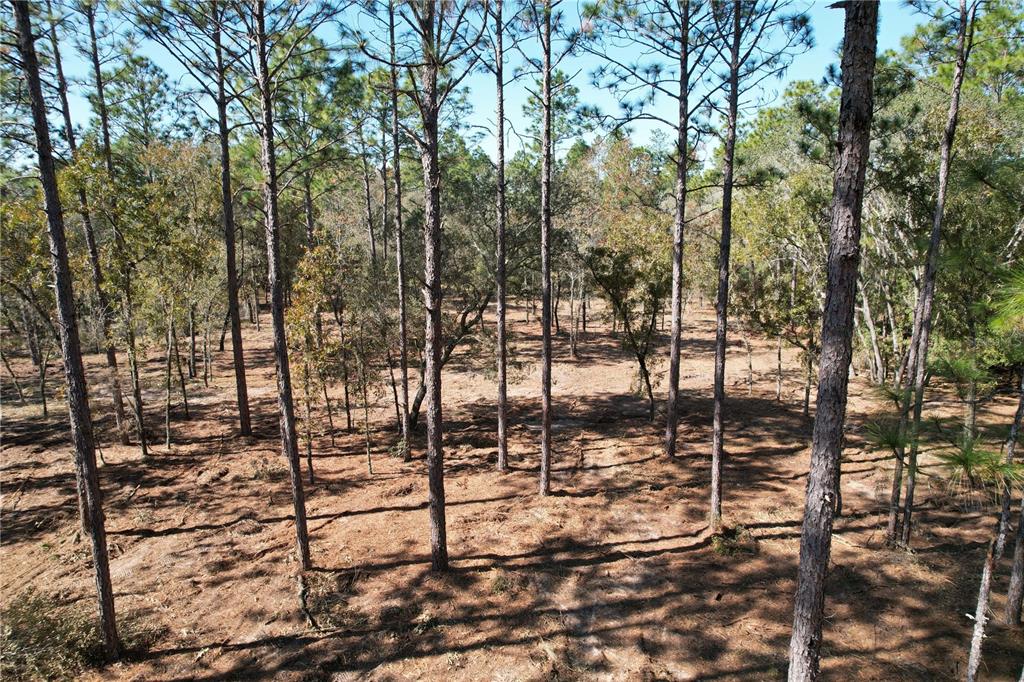 93rd Terrace Archer, FL 32618 - Photo 3 of 8 a view of outdoor space